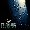 Moana Kea - Soft Trickling Rain Sounds - Nature Sound with New Age Ambience
